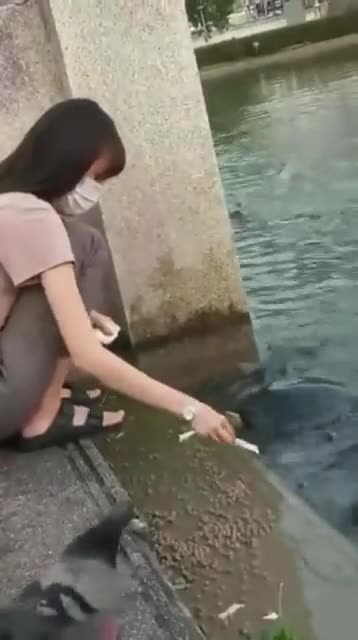 When she was feeding the turtle, a monster appeared.😂 What was that?