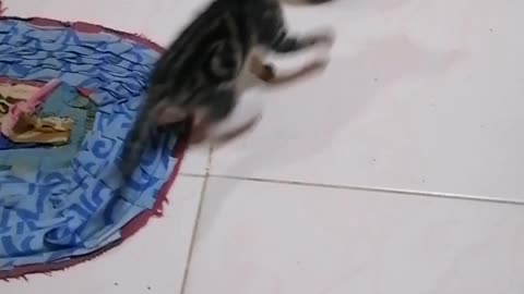 Brother's Quarrel OMG