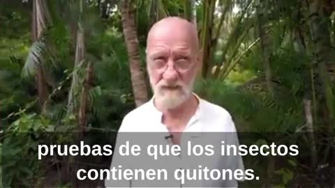 Why Would They Want Us To Eat Insects?