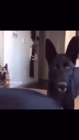 Obiden's replacement?