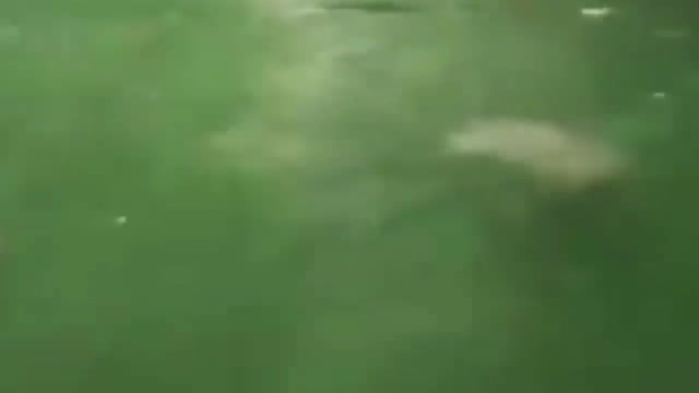 Creepy video a ghost in the water