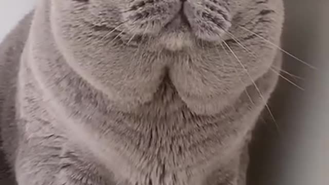 OMG Best Funny