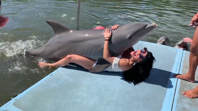 The Cuban dolphin 🐬 fell in love with me