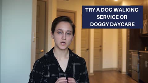 Quick Tips for Having a Dog in an Apartment!