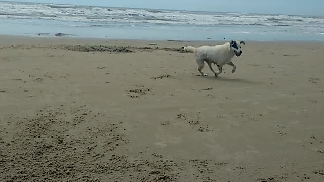 Larissa na praia