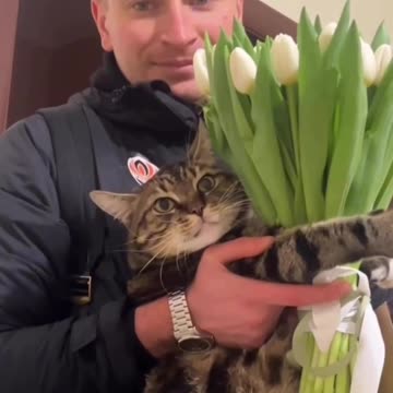 Honey. Cat brought you a bouquet of flowers 😍