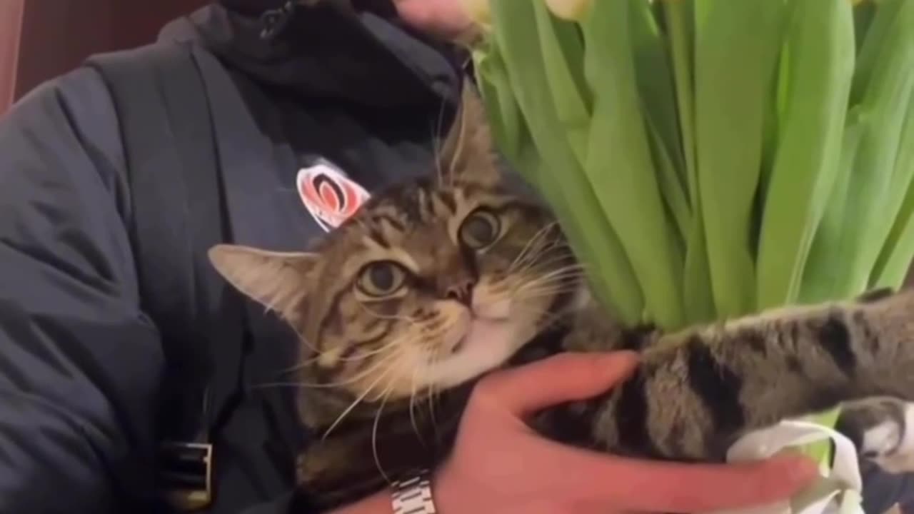 Honey. Cat brought you a bouquet of flowers 😍