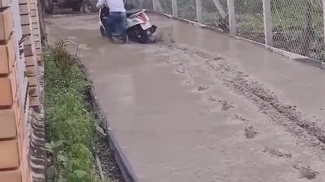 Stupid humans pass new roads in cement