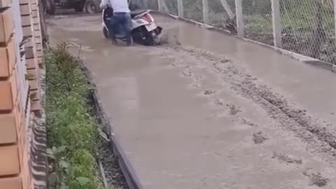 Stupid humans pass new roads in cement