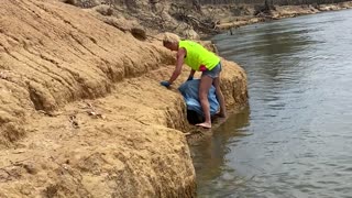 Rescuing a Koala from the Banks of the Murray