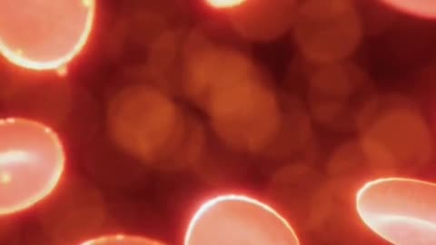 Is High Cholesterol Bad for You?