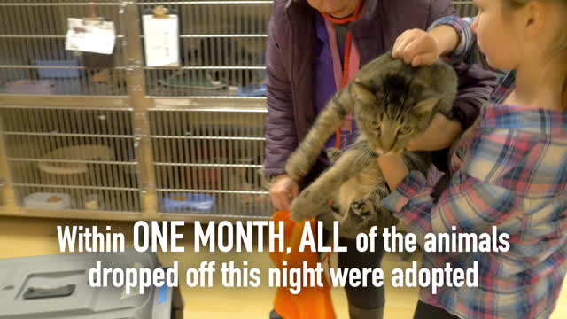 Spokanimal Shelter saves 45 animals in one night!