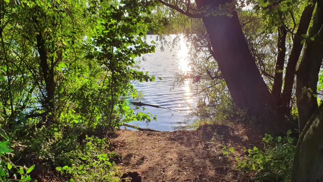 Nature sound Effects