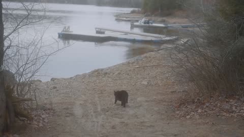 Holidays in cabin on the lake