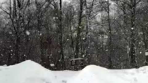 Snow White Moscow