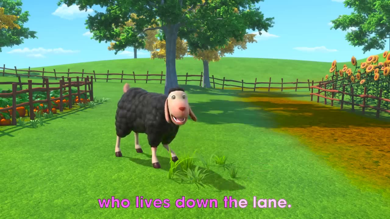 Number Songs & Nursery Rhymes