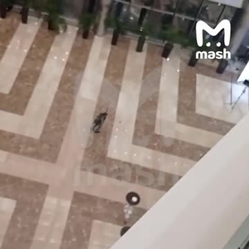 Krokus-Hall (some sort of the mall) in Moscow. At least 4 attackers shot P2