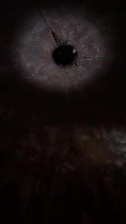 Point Pleasant West Virginia TNT Area