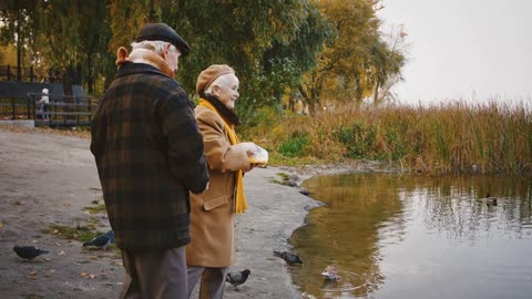 Happy retired pair are smiling, standing on bank of a river and feeding ducks