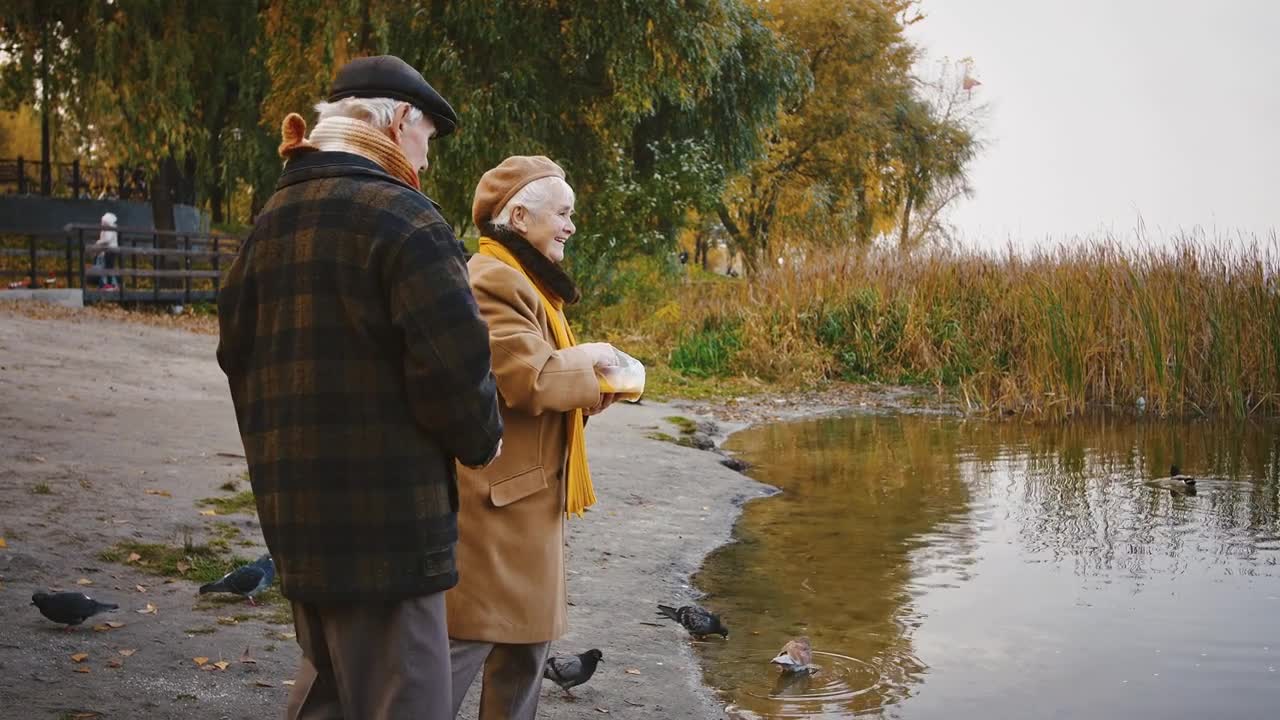 Happy retired pair are smiling, standing on bank of a river and feeding ducks
