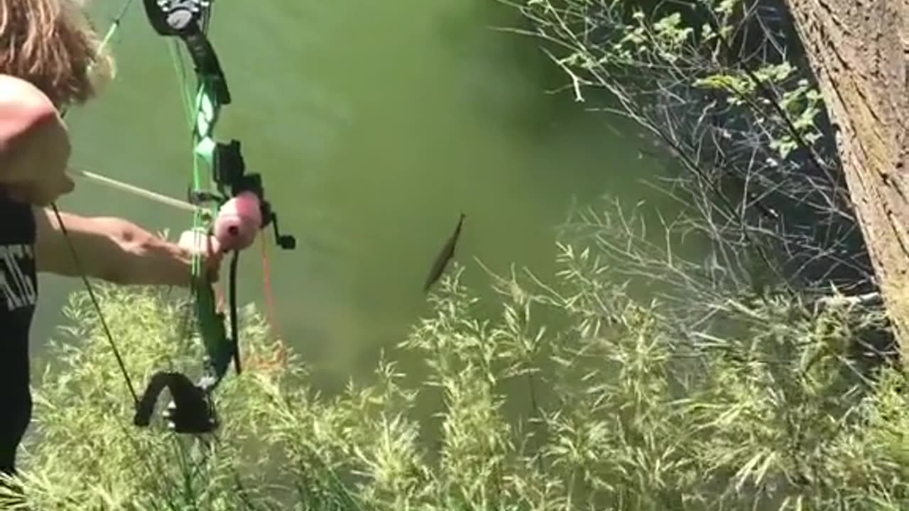 Fish Hunting