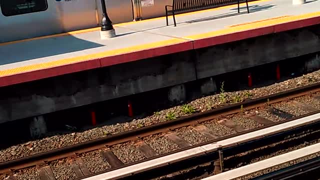 MTA metropolitan transit authority long island Kawasaki passenger train Nassau county new york