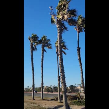 Get Ready For The Winds Of Change!