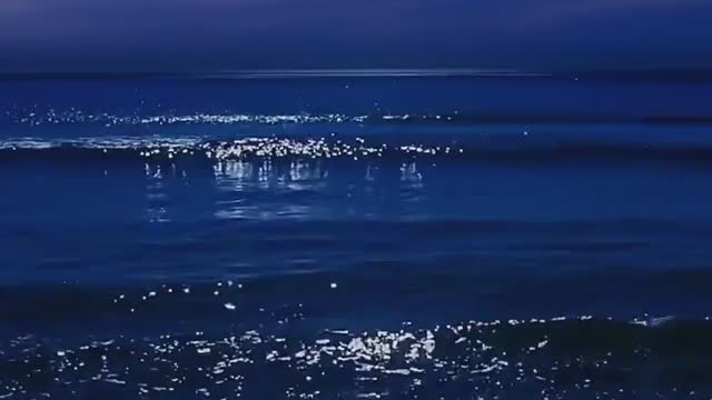 New Moonlight