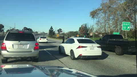 Runaway Dog on Busy California Freeway