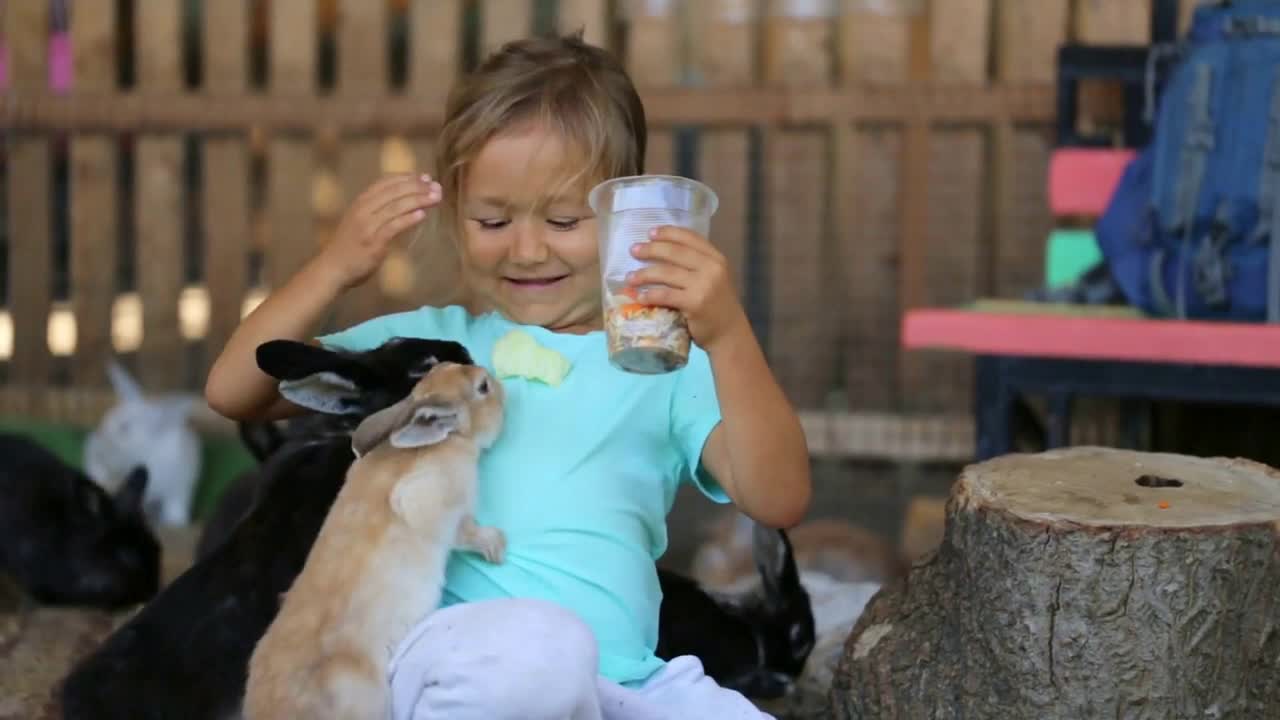 Cute child girl feeding rabbits from hands