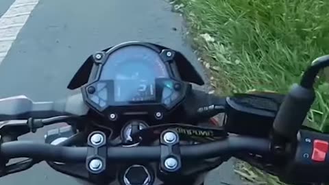 Rider Rescues Kitty from Road