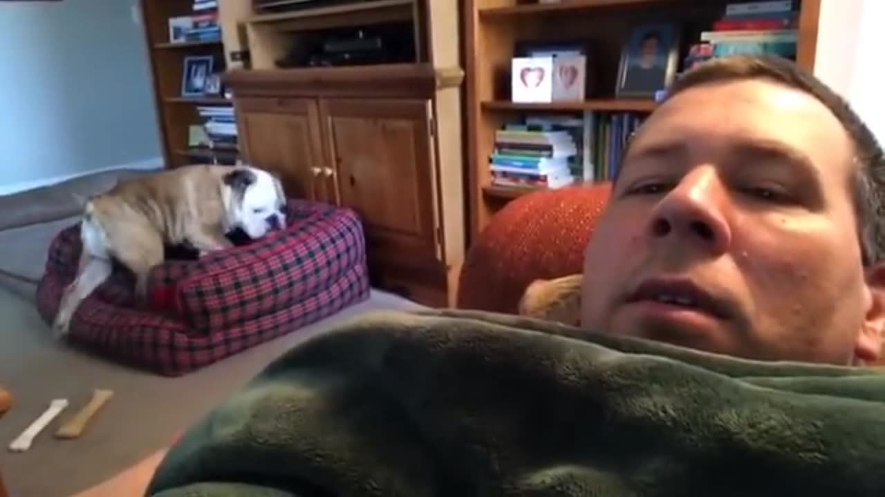 Dog Has A Loud Reaction When His Couch Privileges Are Denied