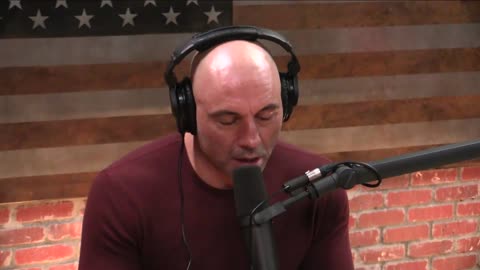 Joe Rogan Experience #1212 - David Goggins