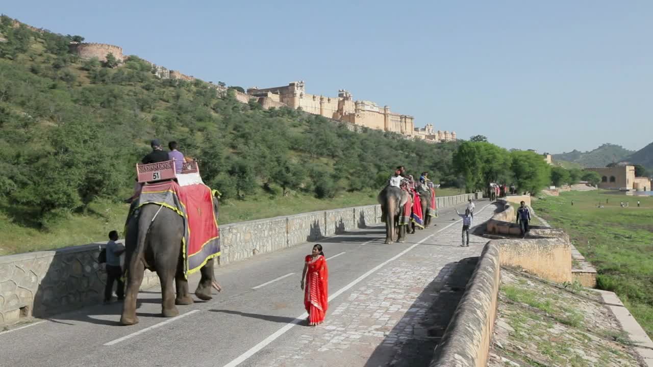 Elephants taking tourists to Amber Fort near Jaipur, Rajasthan, India, Asia