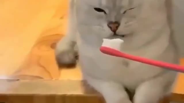 Stupid Fails 😂 Epic Fails! (NEW!)
