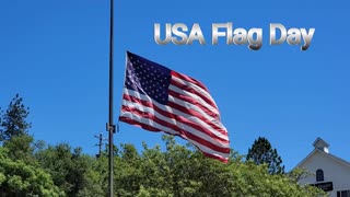 Flag Day USA JRP 2022