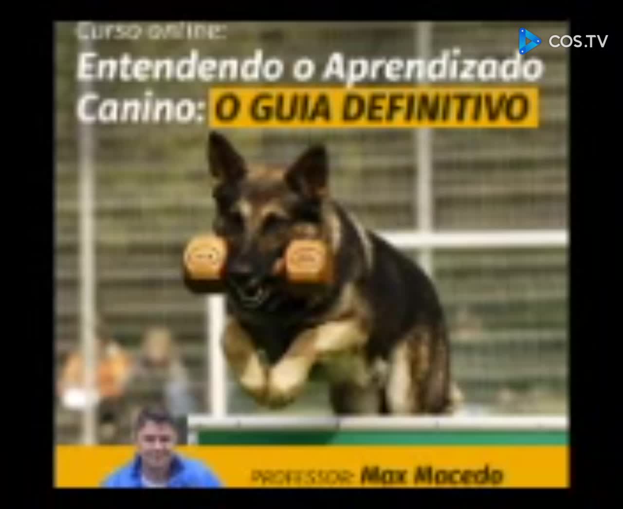 Entendendo O Aprendizado Canino - Max Macedo (Audio Livro)