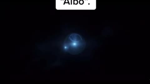 A New Sea Creature Discovered Named The “Albo”