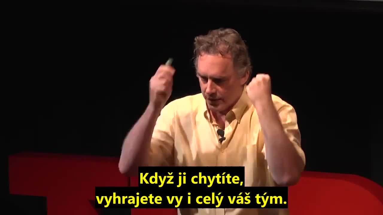 O čem je Harry Potter - Jordan Peterson