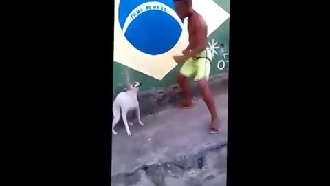 Dog dancing... very cute