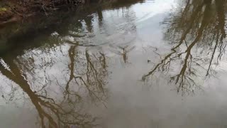 PA December creek fishing.