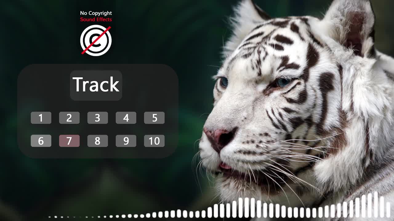 [HD]Tiger Roar Sound That Will Make You Paralyzed ! (Better With Earphones)