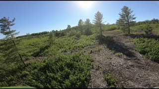 FPV flight on some orv trails