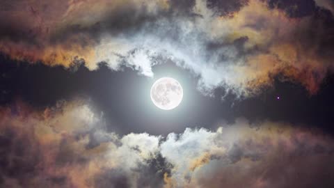 Moon Night