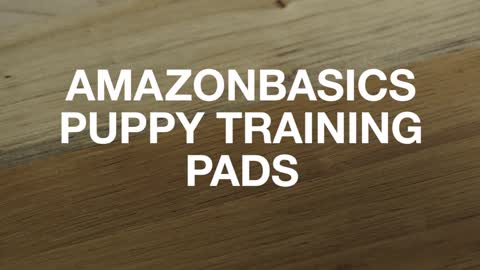 AmazonBasics Puppy Training Pads