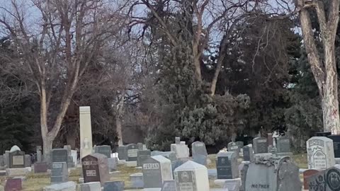 #MurphDocU: #geriatricians #visiting #oldfriends in the #cemetery