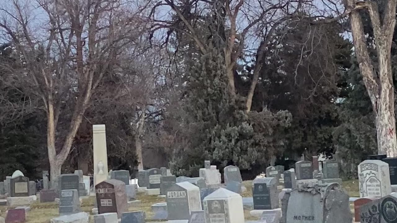 #MurphDocU: #geriatricians #visiting #oldfriends in the #cemetery