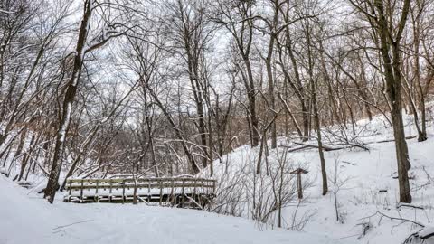 Snow and Exposure Compensation