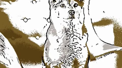 Easy Dog Drawing Tutorial for Beginners