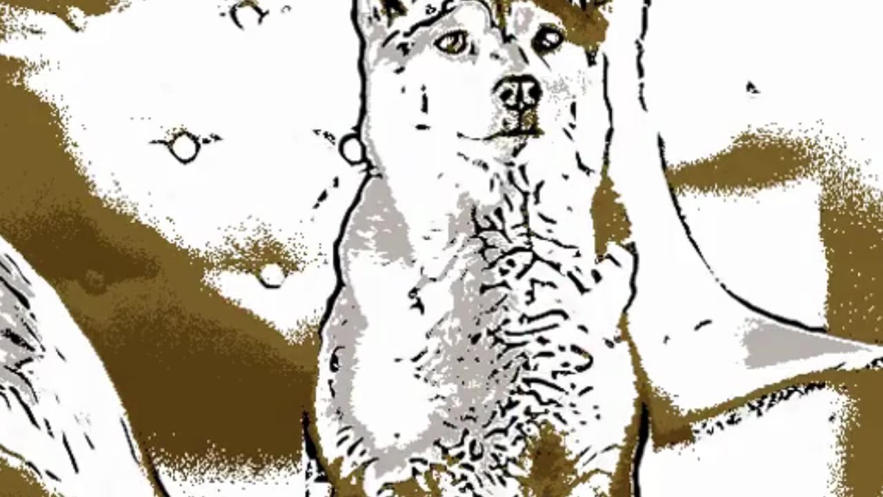Easy Dog Drawing Tutorial for Beginners